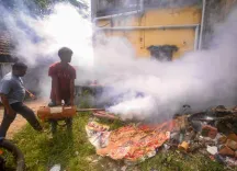 Dengue, swine flu cases surge in Tamil Nadu ahead of monsoon season