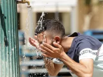 डेनमार्क में 150 साल का तापमान रिकॉर्ड टूटा, 36.6°C के साथ 1874 के बाद सबसे गर्म दिन