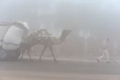 What Impact Does Dense Fog Have on Rajasthan's Visibility?
