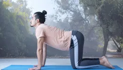 डेस्क जॉब करने वालों के लिए 'मार्जरी आसन': गर्दन और पीठ के दर्द से मिलेगी राहत