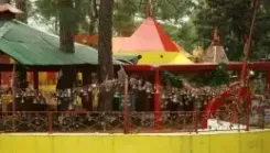 गोलू देवता की भव्य यात्रा 4 मई को अल्मोड़ा पहुंचेगी, 19 अप्रैल से शुरू हुई देवभूमि की यह आस्था-यात्रा