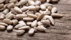 डायबिटीज, मोटापा और दिल की बीमारियों में फायदेमंद सूरजमुखी के बीज, जानिए इसके अनगिनत फायदे