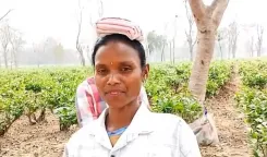 डिब्रूगढ़ के चाय मजदूरों ने उठाई 500 रुपए दैनिक मजदूरी की मांग, सरकारी योजनाओं की सराहना