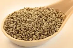 दिल, पेट और इम्यूनिटी के लिए वरदान है अजवाइन, इसके बीजों में छुपे हैं सेहत के गुण