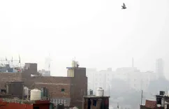 क्या दिवाली से पहले वायु प्रदूषण ने लाल निशान को पार कर लिया है? गाजियाबाद और नोएडा की स्थिति गंभीर