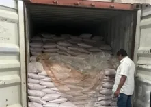 DRI busts ₹30 crore Pakistan rock salt smuggle via Sri Lanka, 4 held