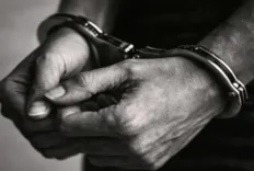 डीआरआई पुणे ने वन्यजीव तस्करी का भंडाफोड़ किया: 3 मालाबार गिलहरी, 7 स्टार कछुए बरामद, 2 गिरफ्तार