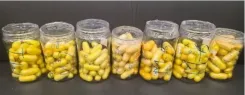 DRI seizes 15.59 kg amphetamine, cocaine and heroin in 3 operations; 5 arrested