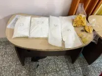 DRI seizes 26 kg cocaine across India, arrests 22 in multi-city crackdown