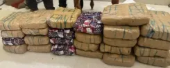 DRI seizes 845 kg contraband, arrests 15 in fortnight crackdown