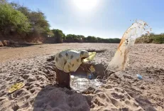 How is Drought Impacting Millions in Somalia?