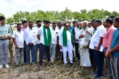 Karnataka Dy CM Parameshwara inspects drought-hit Nanjangud crops, farmers seek relief