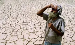 Rajasthan drought 2026: Gehlot demands relief as Meena orders survey