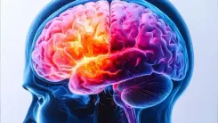 Early periods, later menopause linked to slower brain ageing in women