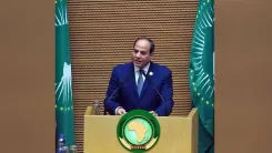 Egypt's National Defence Council backs Saudi security amid Houthi attacks
