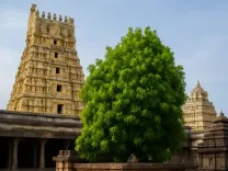 क्या एकम्बरेश्वर मंदिर मां पार्वती के प्रेम और तप का प्रतीक है?