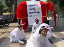 Ahmedabad AMC's 30-second traffic skit uses elephant and rabbits at CG Road signal