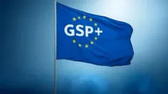 EU leaders need to relook at GSP+ trade status for Pakistan