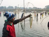 WTO Fisheries Subsidies pact: India weighs implementation challenges post-ratification