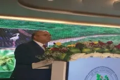 What Steps Are Experts Taking to Protect Mangrove Ecosystems at the Andhra Pradesh Workshop?