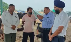क्या फाजिल्का में पशुओं की सुरक्षा के लिए पशुपालन विभाग तैयार है?