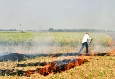 How has the Punjab government achieved a four-fold reduction in farm fire cases?