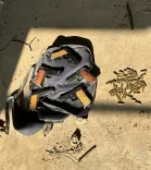 Have Four Operatives of Lawrence Bishnoi Gang Been Arrested in Punjab?