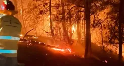 फ्रांस-स्पेन में जंगलों की आग का कहर: 3.75 लाख विस्थापित, सांचेज बोले — 'आइबेरियन प्रायद्वीप जलवायु संकट झेल रहा है'