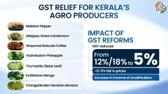 Will GST Reforms Transform Kerala's Economy from Spice Gardens to Cashew Corridors?