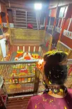 प्रयागराज: गंगा के बढ़ते जलस्तर से बड़े हनुमान मंदिर के गर्भगृह में पहुंचा पानी, हुआ प्राकृतिक जलाभिषेक
