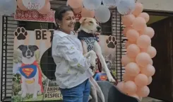 क्या गरीब तबका जानवरों के प्रति सबसे ज्यादा प्यार करता है? जया भट्टाचार्य ने साझा की जमीनी सच्चाई