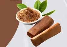 चंदन: खून की सेहत को सुधारने वाली अनमोल लकड़ी और डायबिटीज के मरीजों के लिए अत्यंत लाभकारी