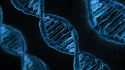 Gene essential for vitamin D absorption may boost cancer treatment