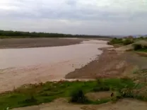 Ghaggar river’s two stretches identified as polluted: Govt