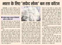 Giriraj Singh Flags India's Cotton Sector as Global Force