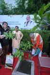Giriraj Singh Plants Tree at Nagpur Garment Cluster