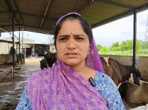 गोबरधन योजना: गुजरात में 2026-27 में लगेंगे 20,000 नए बायोगैस प्लांट, पशुपालकों को ₹25,000 की सहायता