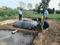 Is the GOBARDHAN Scheme Driving Gujarat Toward Clean and Self-Reliant Villages?