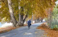 Is Autumn the Most Magical Season in Kashmir?