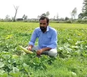 PM-KISAN extended to 2030–31: Cabinet clears ₹3.15 lakh crore outlay for farmers