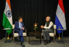 Goyal meets IKEA chief, pitches India as global sourcing hub