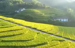 क्या चीन का ग्रामीण पुनरुद्धार सुनहरे भविष्य की ओर ले जाएगा?