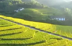 ग्रामीण पुनरुद्धार की ओर चीन का सुनहरा सफर