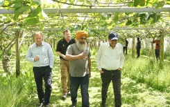 How Grateful is Piyush Goyal to Kiwi-Indian Farmers After His Orchard Visit?