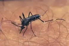 What is the Situation of West Nile Virus Infections in Greece?