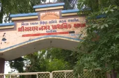 भरूच का श्री सरदार नगर प्राथमिक स्कूल बना 'ग्रीन लैबोरेटरी', 1,000 से अधिक पेड़ों से मिल रही पर्यावरण शिक्षा
