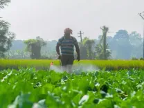 उर्वरकों और कृषि उत्पादों पर जीएसटी में कटौती से खेती की लागत में कमी आई : केंद्र