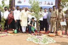Van Mahotsav 2024: 551 native trees planted in Gandhinagar's Mansa taluka