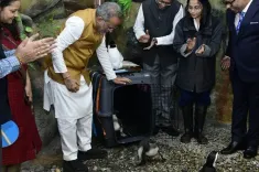 Ahmedabad Science City gets two penguin chicks as Space Festival 2026 begins
