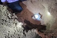 Gujarat ATS, Rajasthan Police bust HPCL pipeline theft gang; 8 arrested